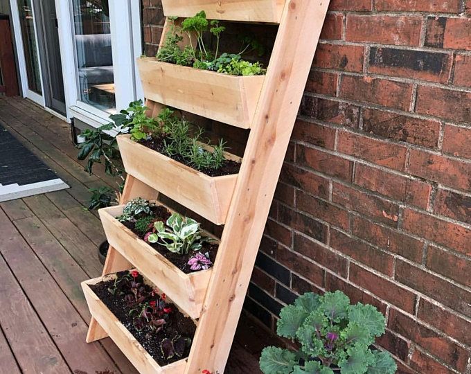 Ladder Vertical Garden