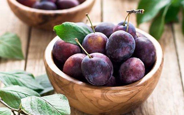 Lists of Plums Health Benefits