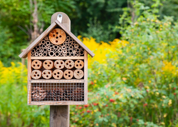 Make Nesting Homes for Bees