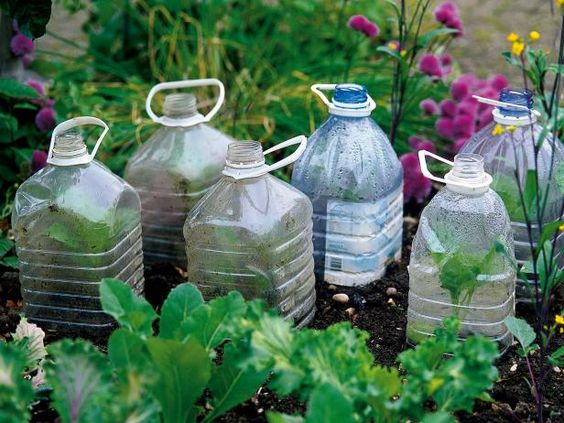 Milk container cloches