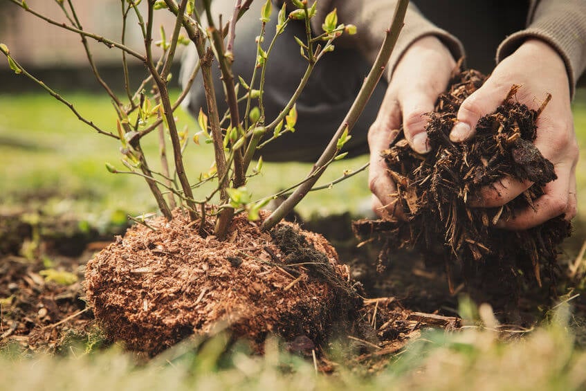 Mulching