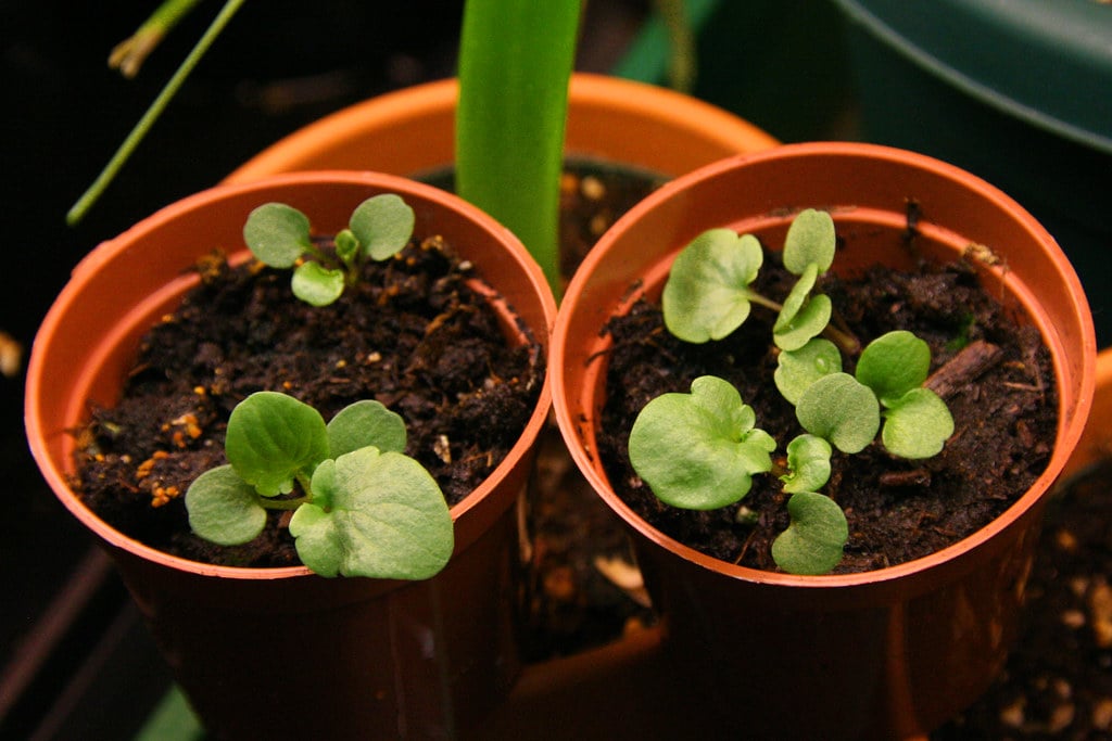 Outdoor Propagation