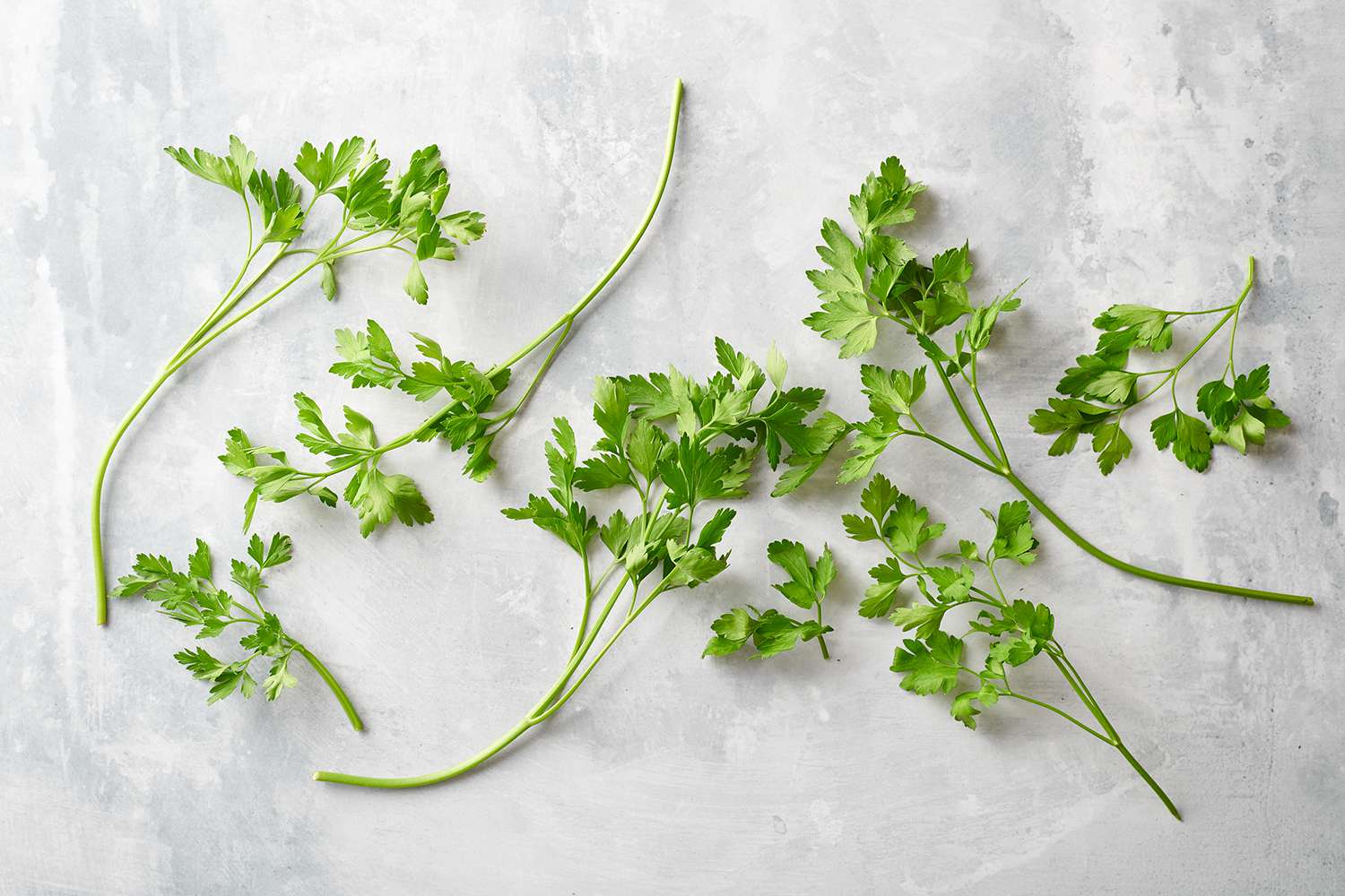 Parsley