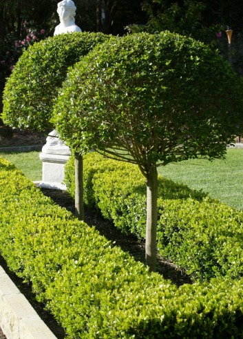 Physical Hedges