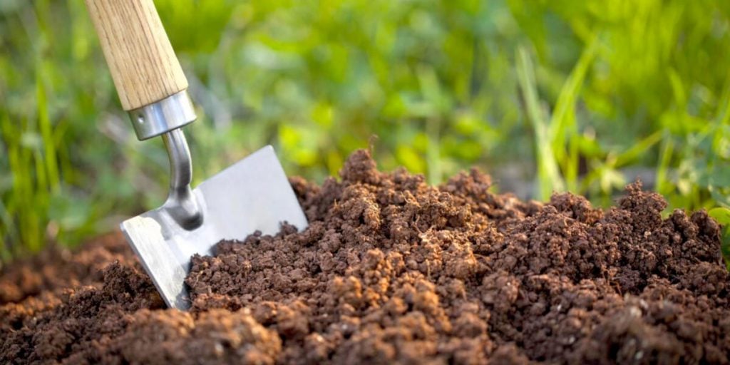 Preparation of Soil for Sowing Seeds