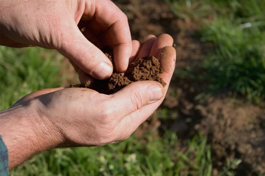 Preparing Soil