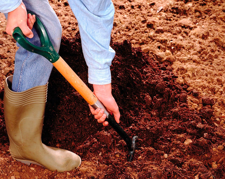 Preparing the Soil