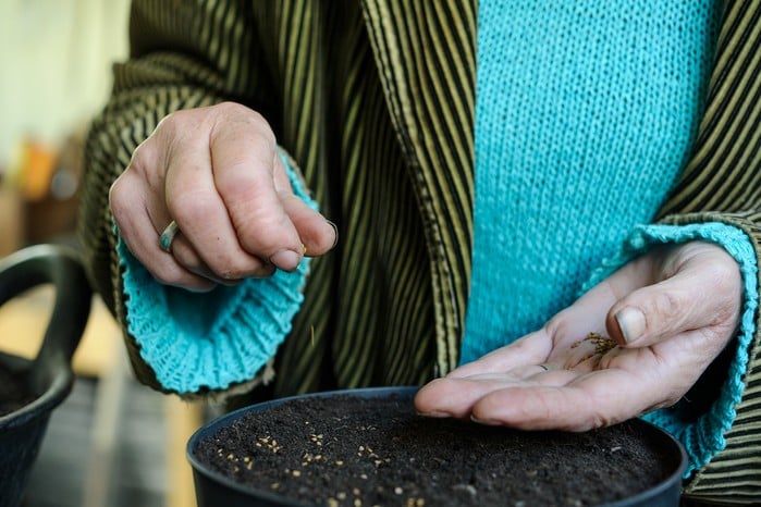 Propagating By Seed