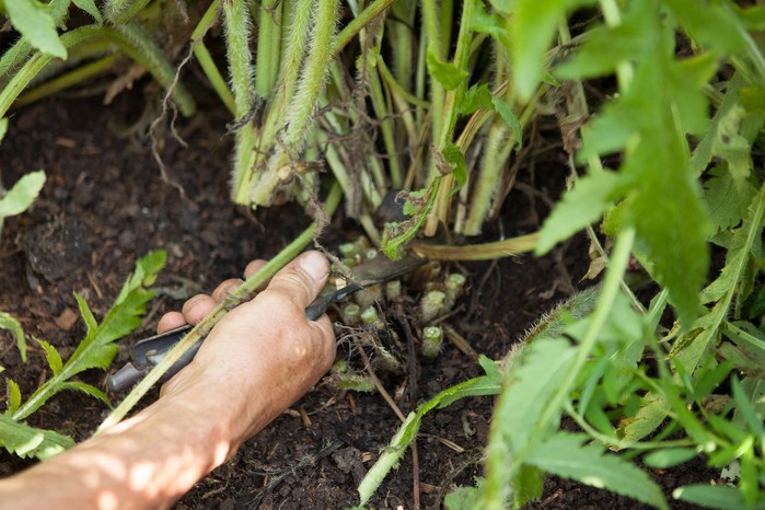 Propagating and Trimming