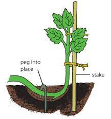 Propagation Through Layering