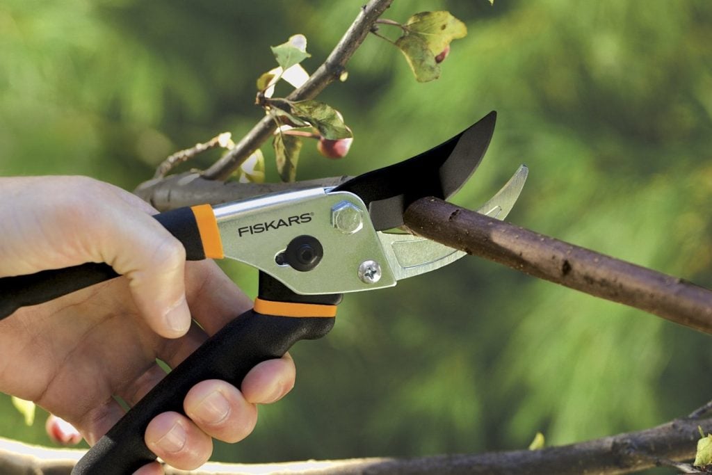 Pruning