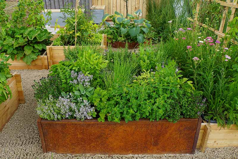 Raised Herb Garden bed
