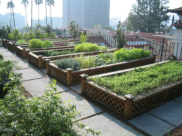 Rooftop Herb Garden