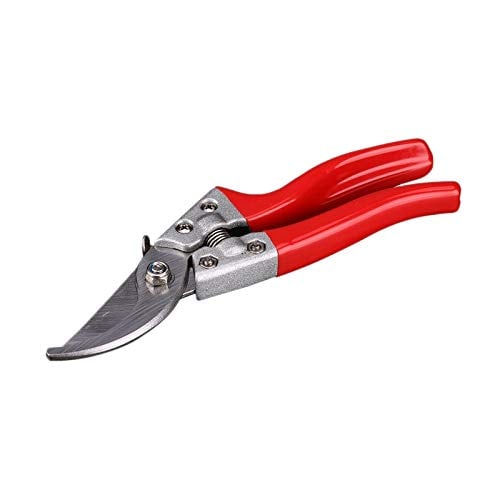 Secateurs