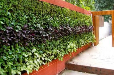 Smart Vertical Garden Ideas For Small Spaces