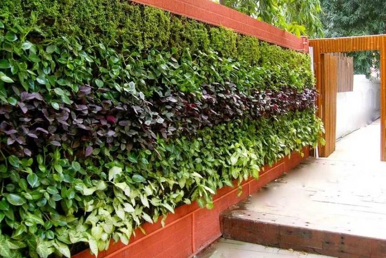 Smart Vertical Garden Ideas For Small Spaces