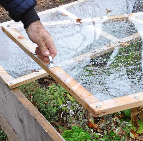 Step-By-Step Construction of a DIY Cold Frame