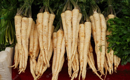 Storing Parsnips