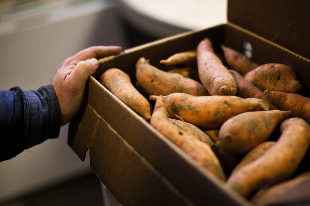 Storing the Sweet Potatoes