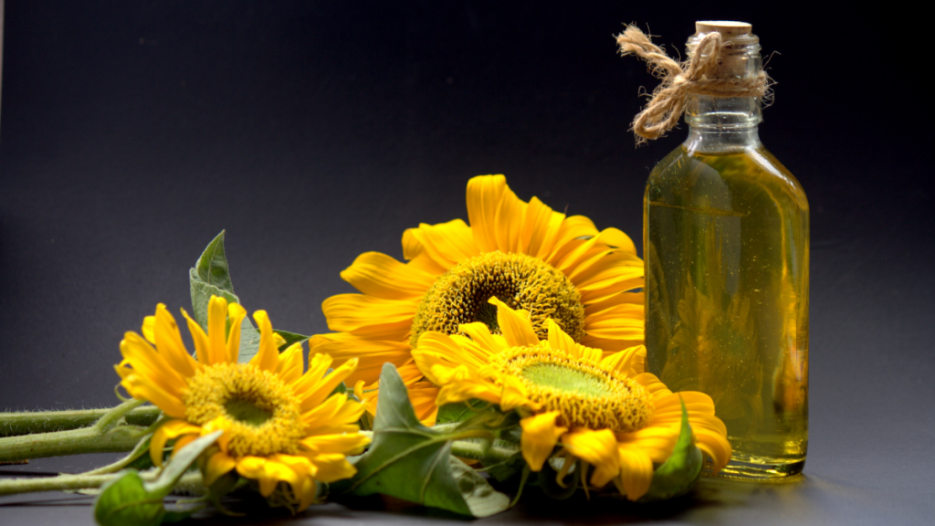 Sunflower Uses - Culinary, Medicinal, and Decorative