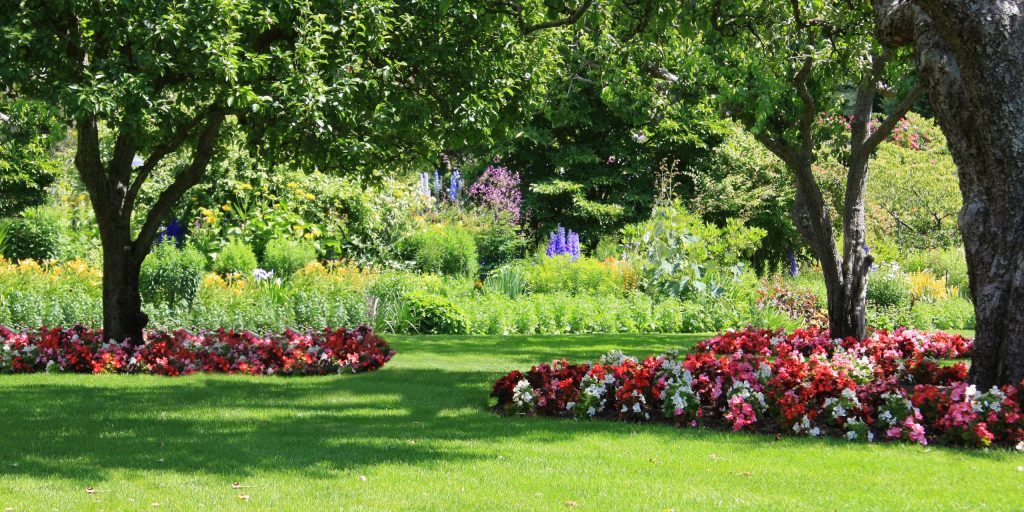 Top 10 Tips To Create A Beautiful Garden