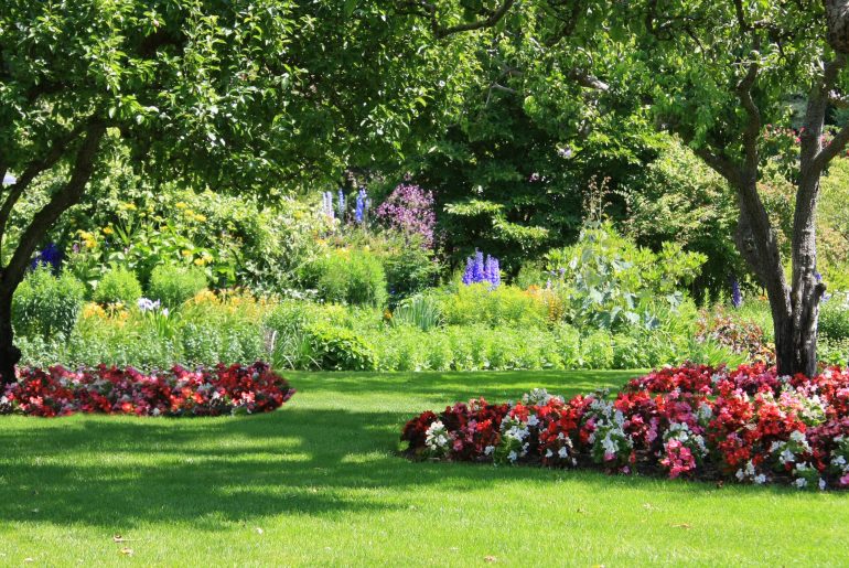 Top 10 Tips To Create A Beautiful Garden