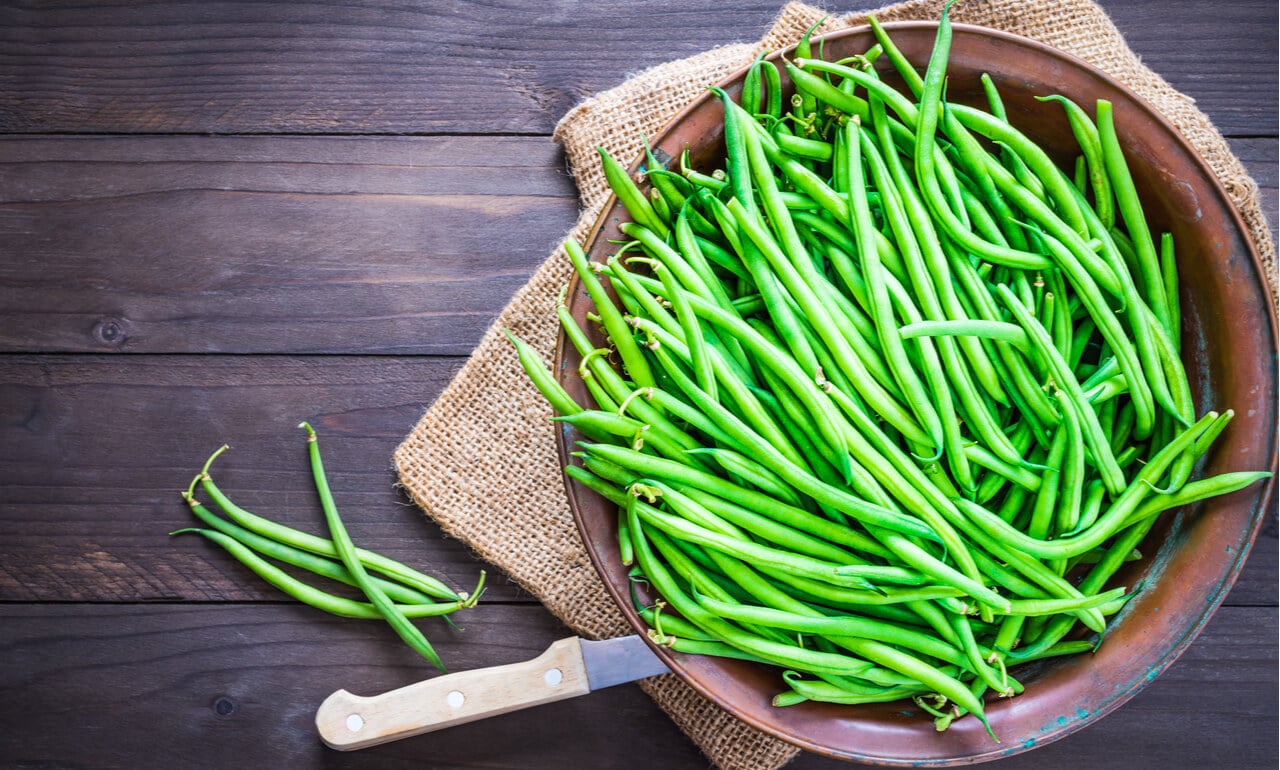 Grow French Beans Easily from Seed A StepbyStep Guide The Arches