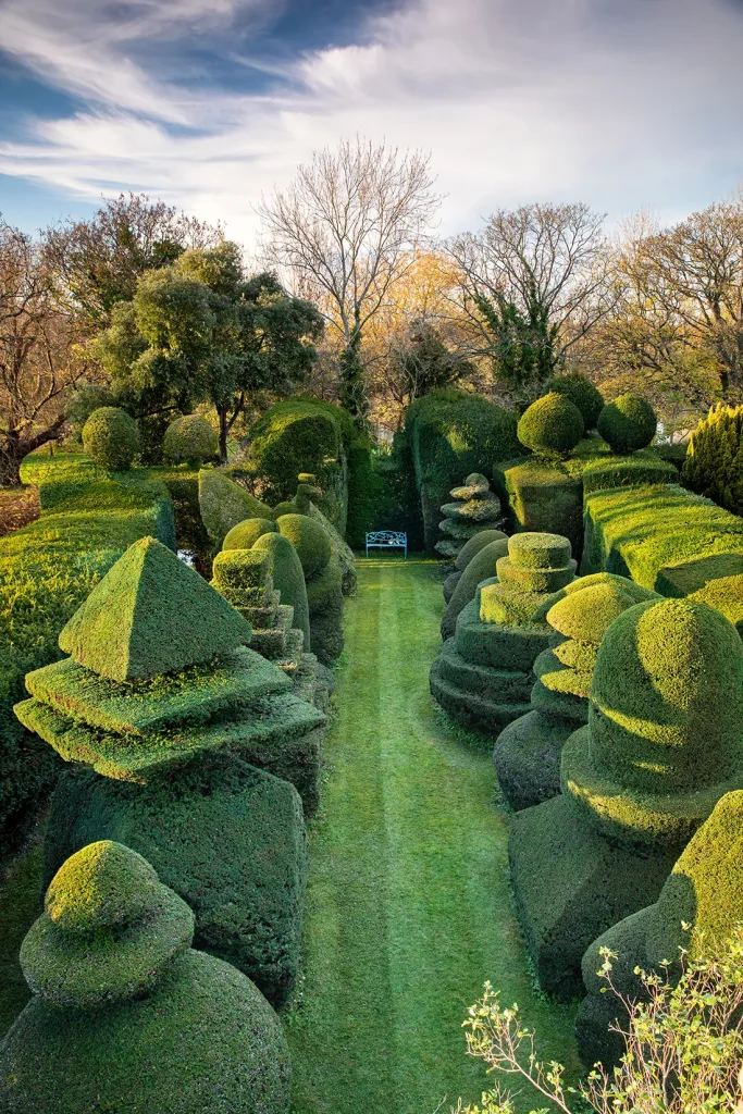 Topiary Hedges