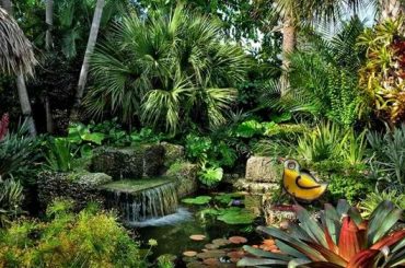 Tropical Garden Ideas For The UK