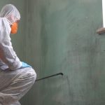 Understanding the Process of a Free Mold Inspection and What to Expect