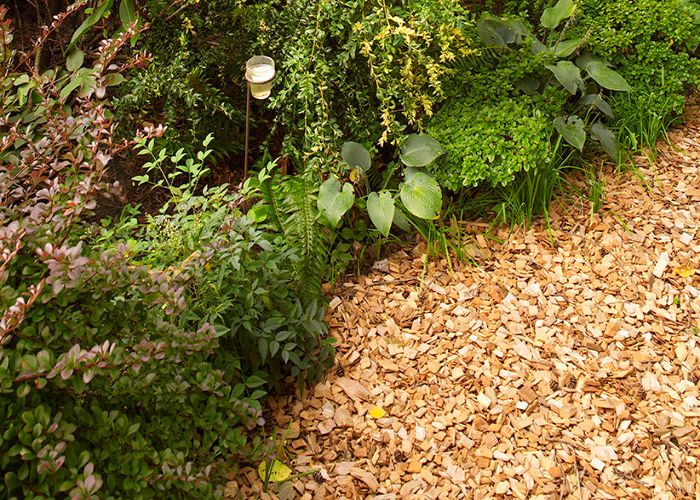 Use Wooden Chips as Mulch