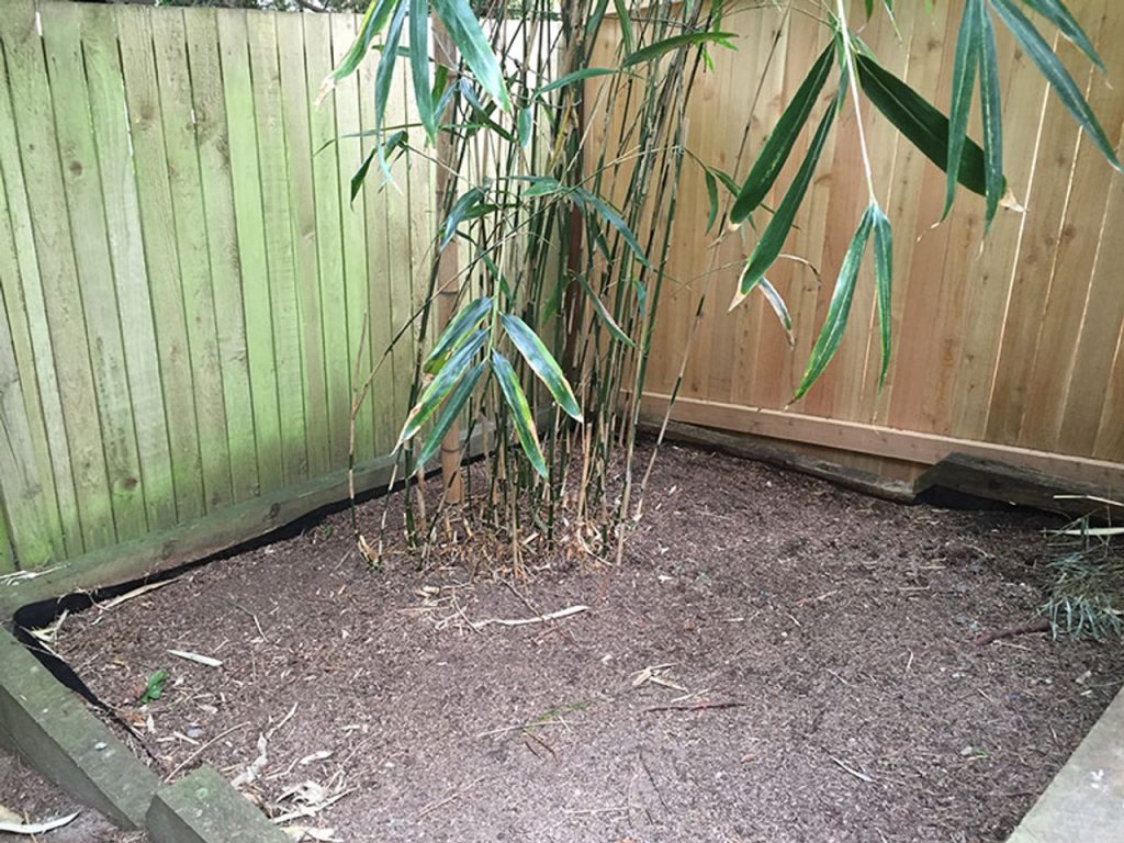 Using Root Barriers to Prevent Bamboo Spreading