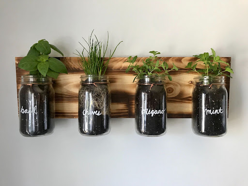 Utilise Kitchen Jars for Greenery