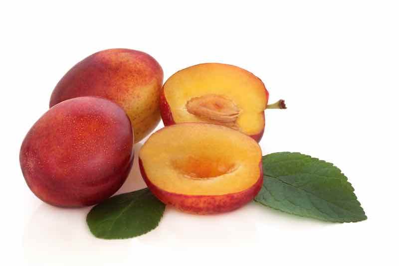 Victoria Plum