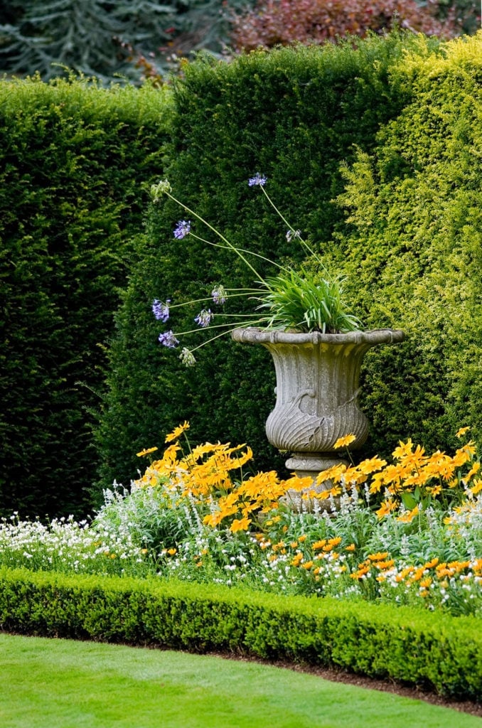 Visual:Flowering Hedges