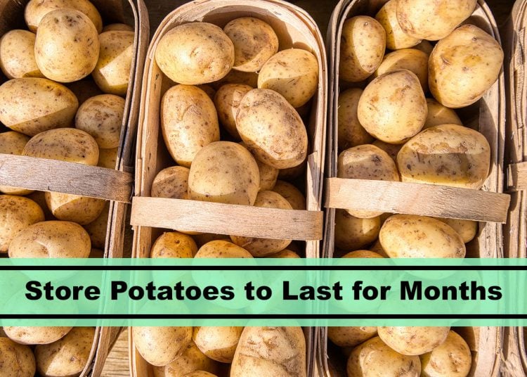 How to Store Potatoes - Best Way to Keep Potatoes Fresh