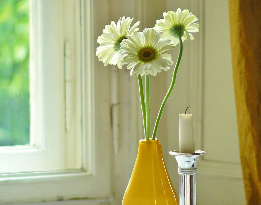 Ways to Use the Deadheaded Flowers