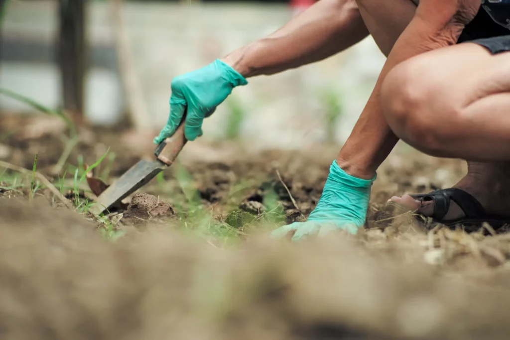 What Precautions Must Be Taken Before Using Bleach on Weeds