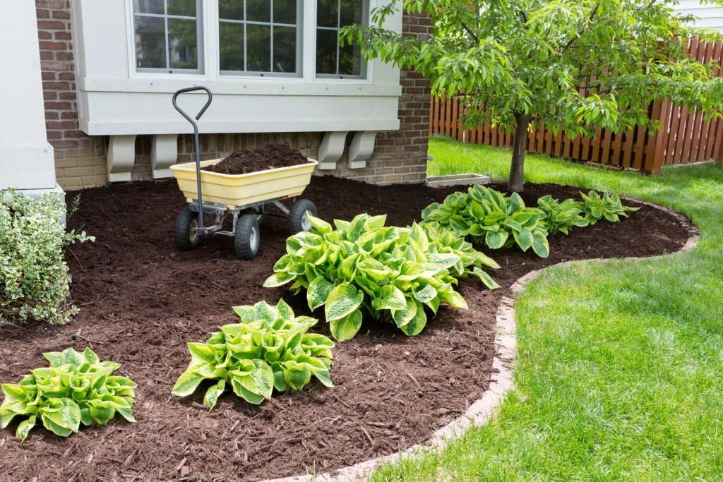 When to Mulch the Garden