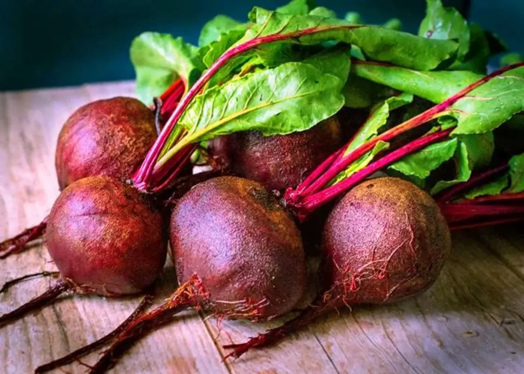 When to Plant Beetroot Seeds.