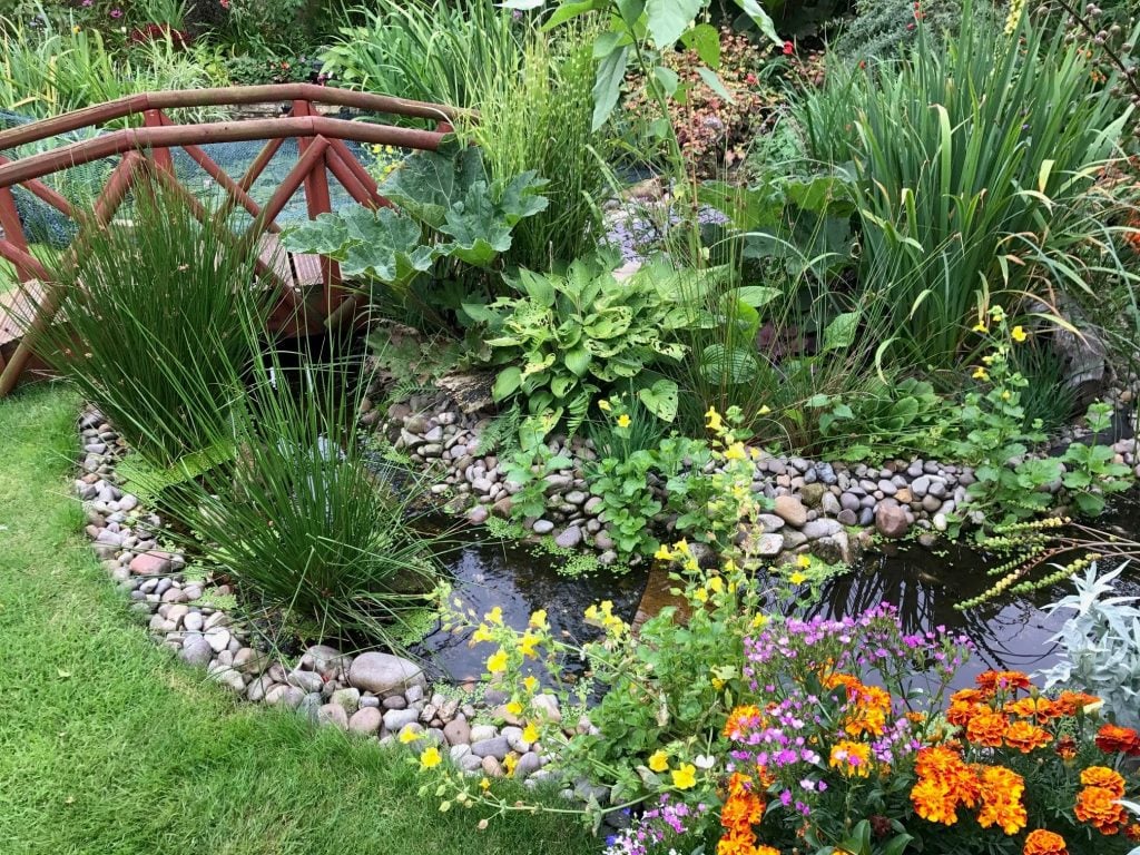 22 Wildlife Gardening Ideas to Build Your Own EcoFriendly Garden The