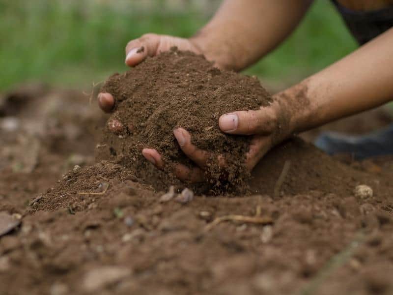 Working with Clay Soil