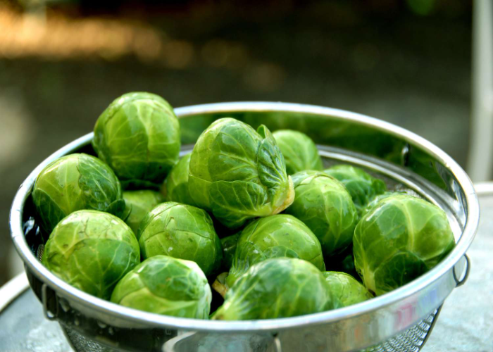 brussel sprouts