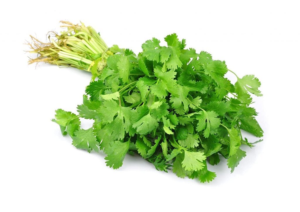 coriander