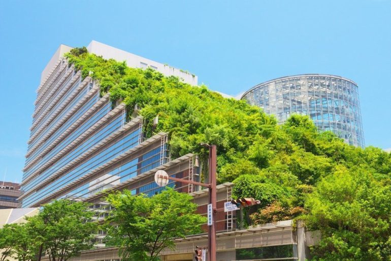 What does the future of sustainable, environmentally friendly commercial building construction look like? Find out here.