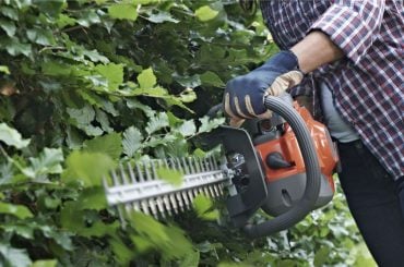 hedge cutter