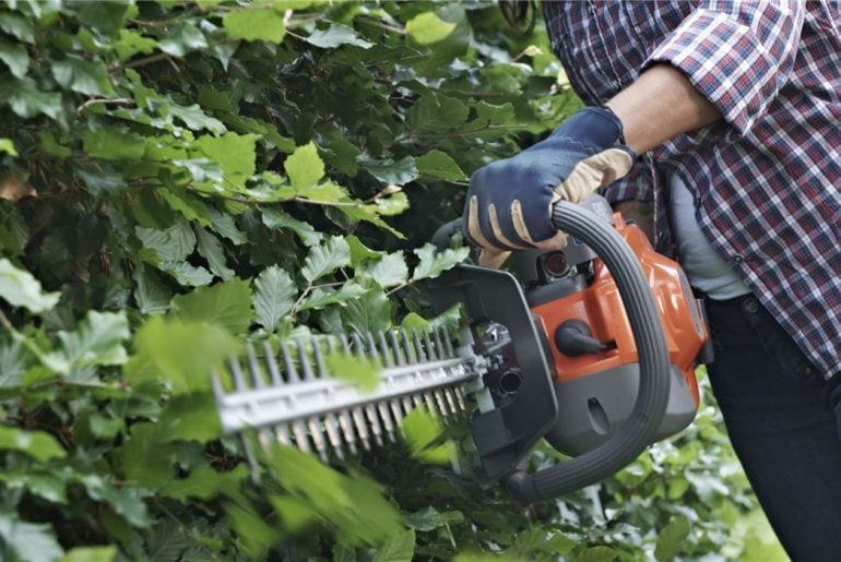 hedge cutter