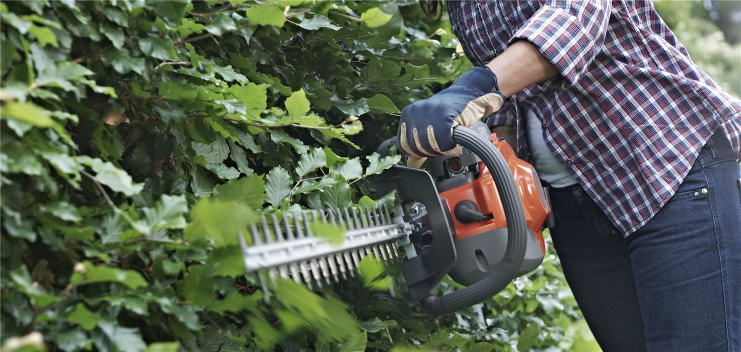 power trimmer for bushes