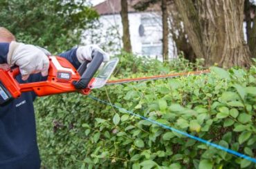 hedge trimmer