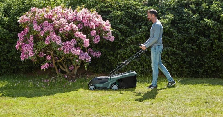 Gtech Cordless Lawnmower 2 0 Review Thearches